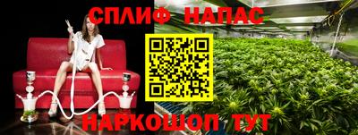 дживик Лесосибирск