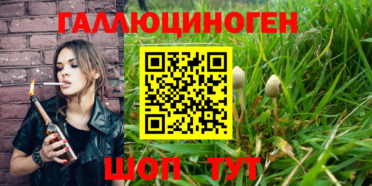 Псилоцибиновые грибы ЛСД Елизово