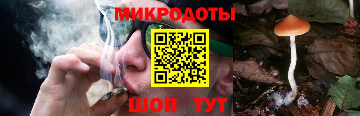 Псилоцибиновые грибы ЛСД  купить   Елизово  Вход с VPN 